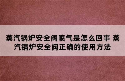 蒸汽锅炉安全阀喷气是怎么回事 蒸汽锅炉安全阀正确的使用方法